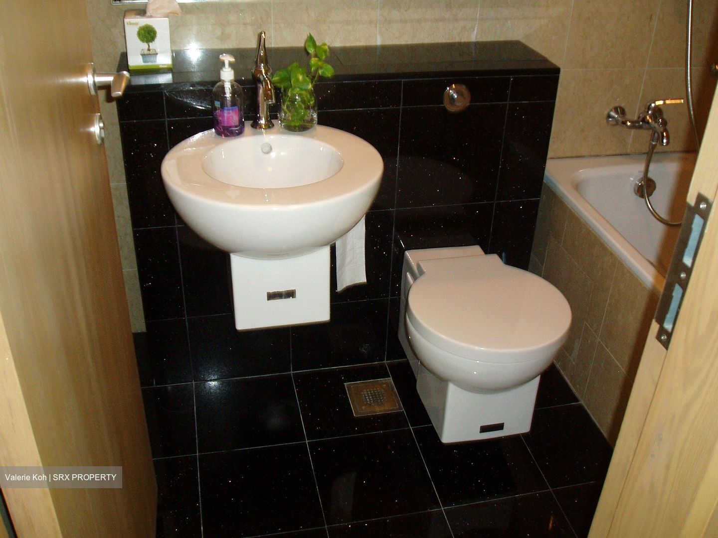 St. Martin Residence (D10), Condominium #562620651